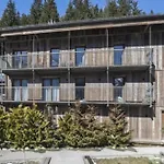 A Stunning Duplex Flat Near The Grands Montets